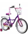 Велосипед детский NOVATRACK Little Girlzz 20 207GIRLZZ.VL9 фото 2